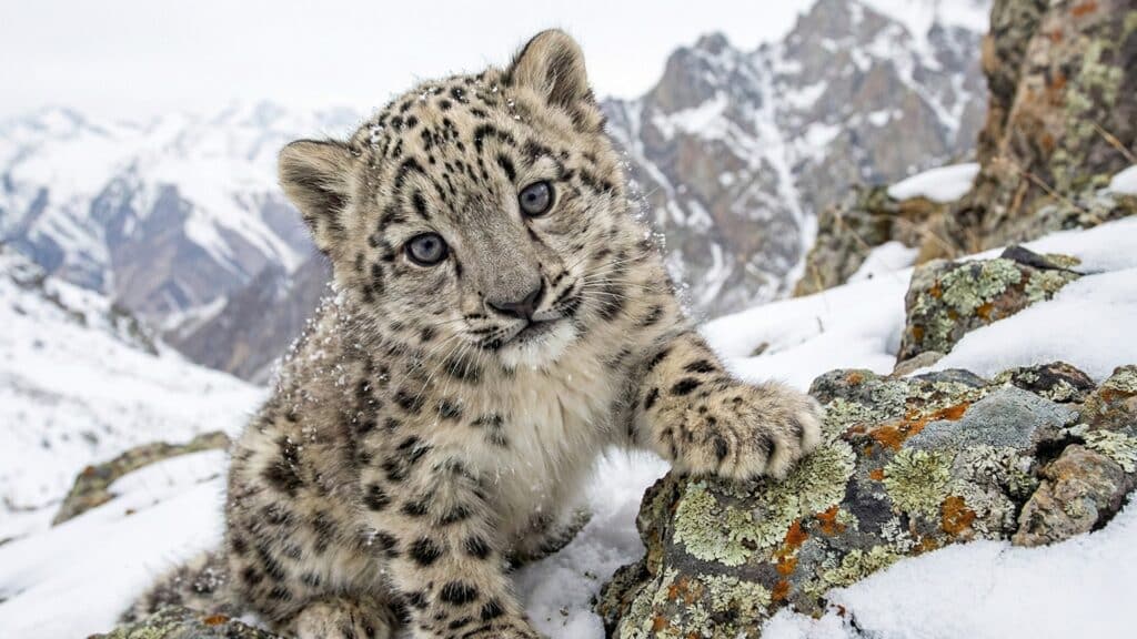 фото: shutterstock