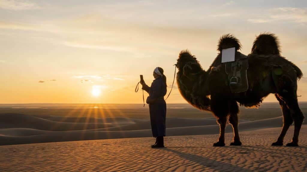 фото: x.com/Starlink