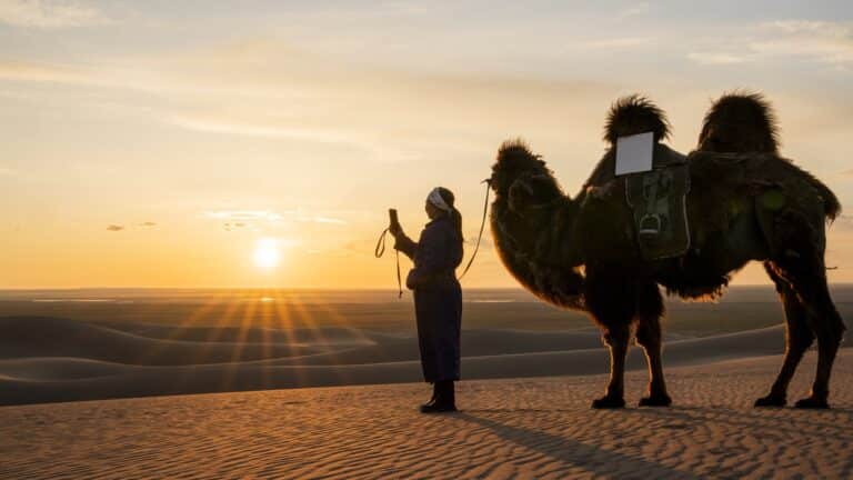 Қырғызстан да Starlink спутниктік интернетін қосады