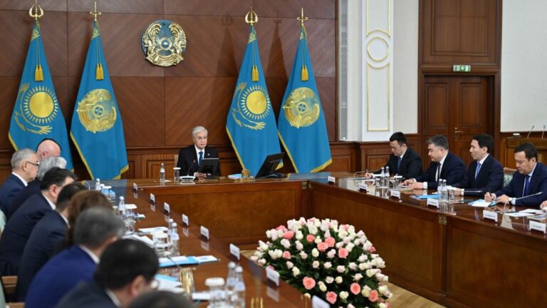 Тоқаев медициналық қор мен жеке мектептер тексерілгенін қалайды