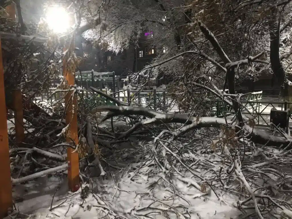 Шымкентте қайтыс болған 10 жастағы баланың оқиғасы бойынша іс қозғалды