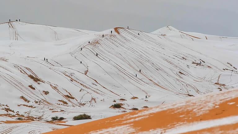 Снегопад прошел в пустыне Сахара