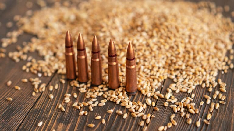 Таяу Шығыстағы қақтығыс қазақстандық астық саудасына да әсер етеді