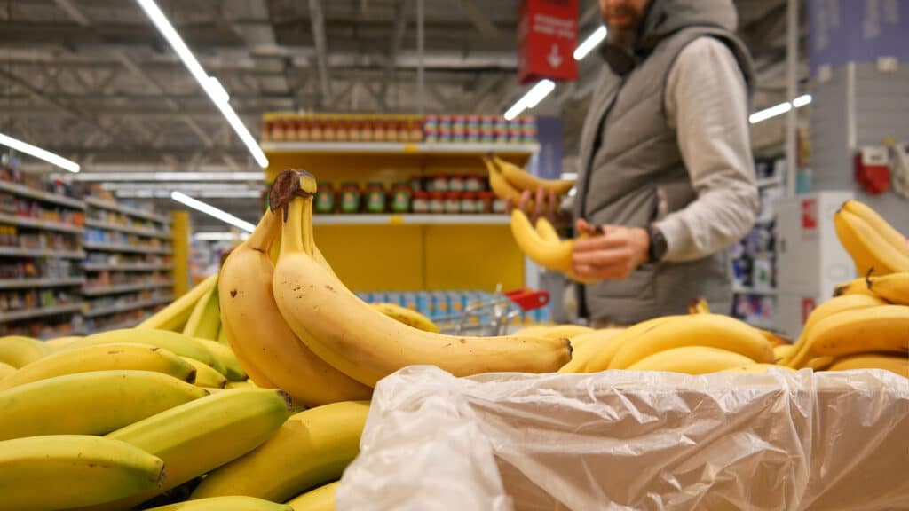 Где продаются экзотические фрукты, выращенные в Казахстане, рассказали в МСХ