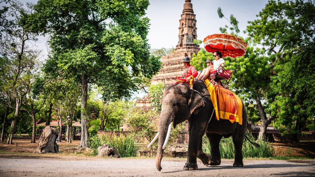 Фото: shutterstock, бильд-редактор: Серикжан Ковланбаев