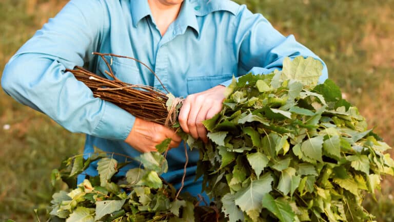 Серийного вора банных веников поймали в Астане