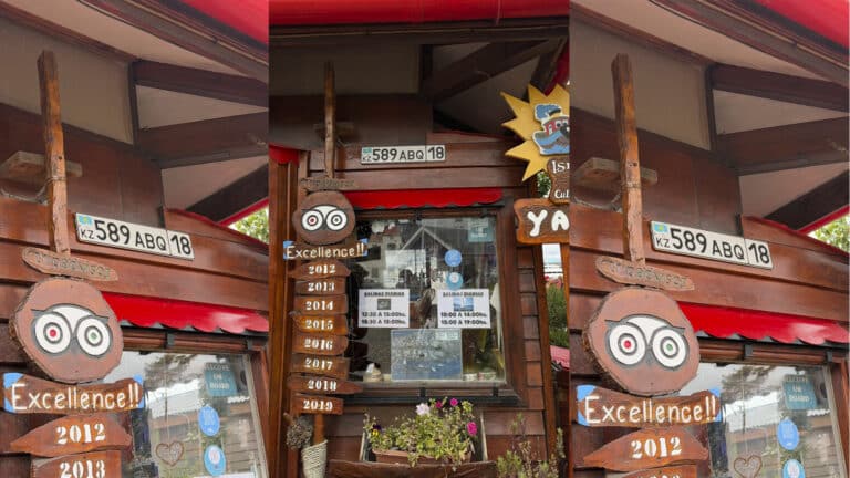 Алматинка неожиданно встретила казахстанский госномер по дороге в Антарктиду