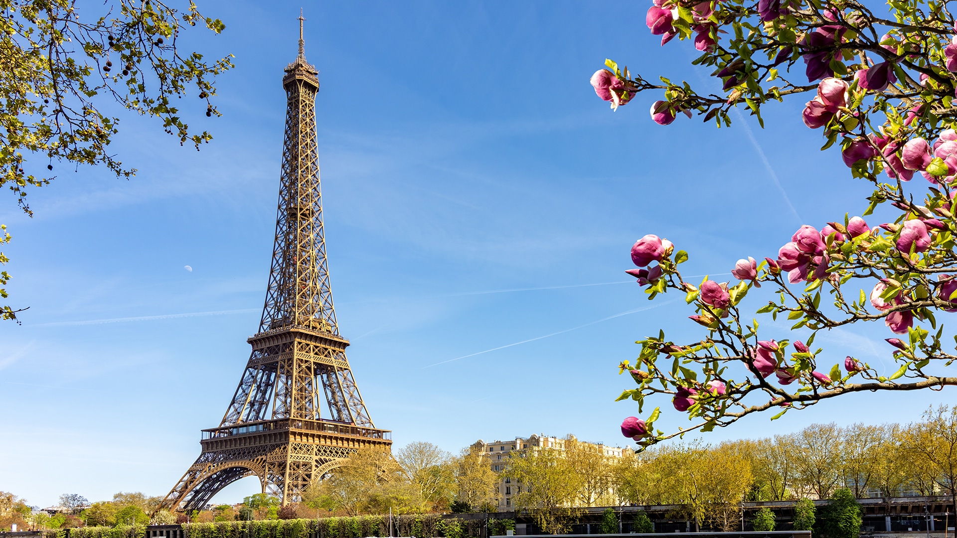 Франкофонная весна с концертами и кино пройдет в нескольких городах Казахстана