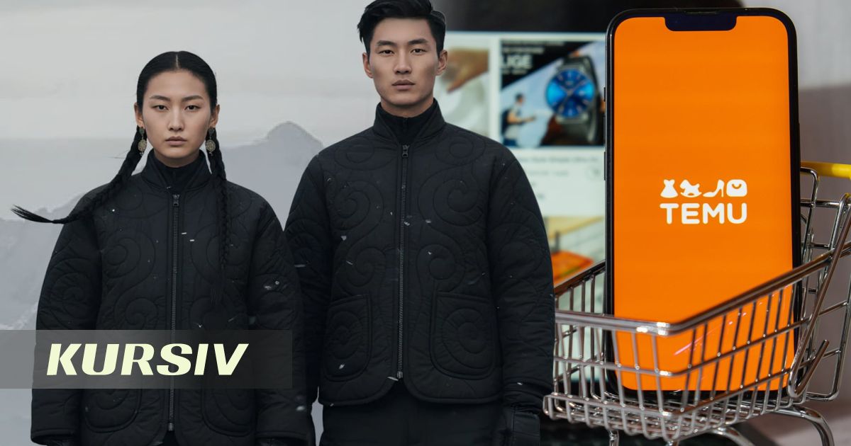 Local shops vs. China’s Temu: Kazakh retail sector fights for survival