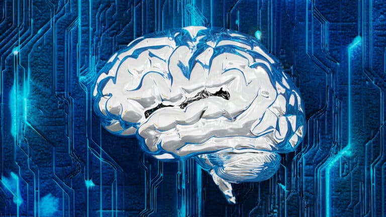 Несколько отличий работы мозга от ИИ выделили ученые