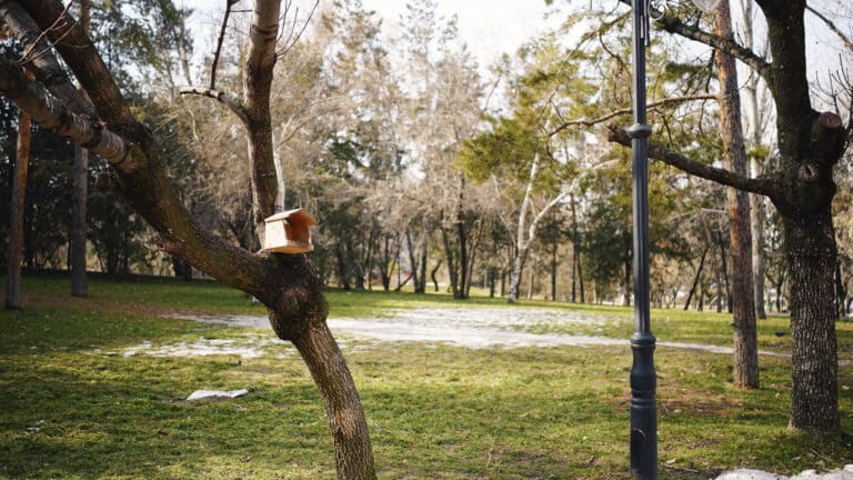 Весна на референдум: в Казахстане потеплеет до +15 градусов