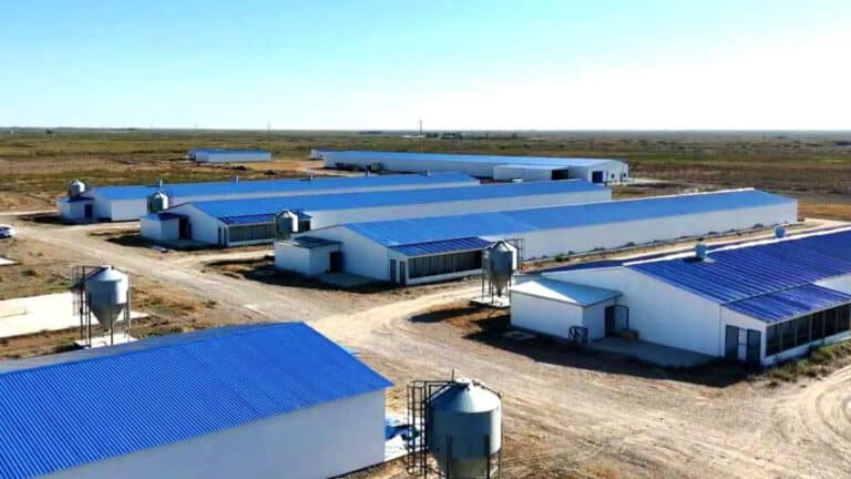 Россияне помогут запустить птицефабрику на юге Казахстана