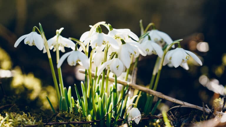 Теплая погода придет в Казахстан на Ораза айт