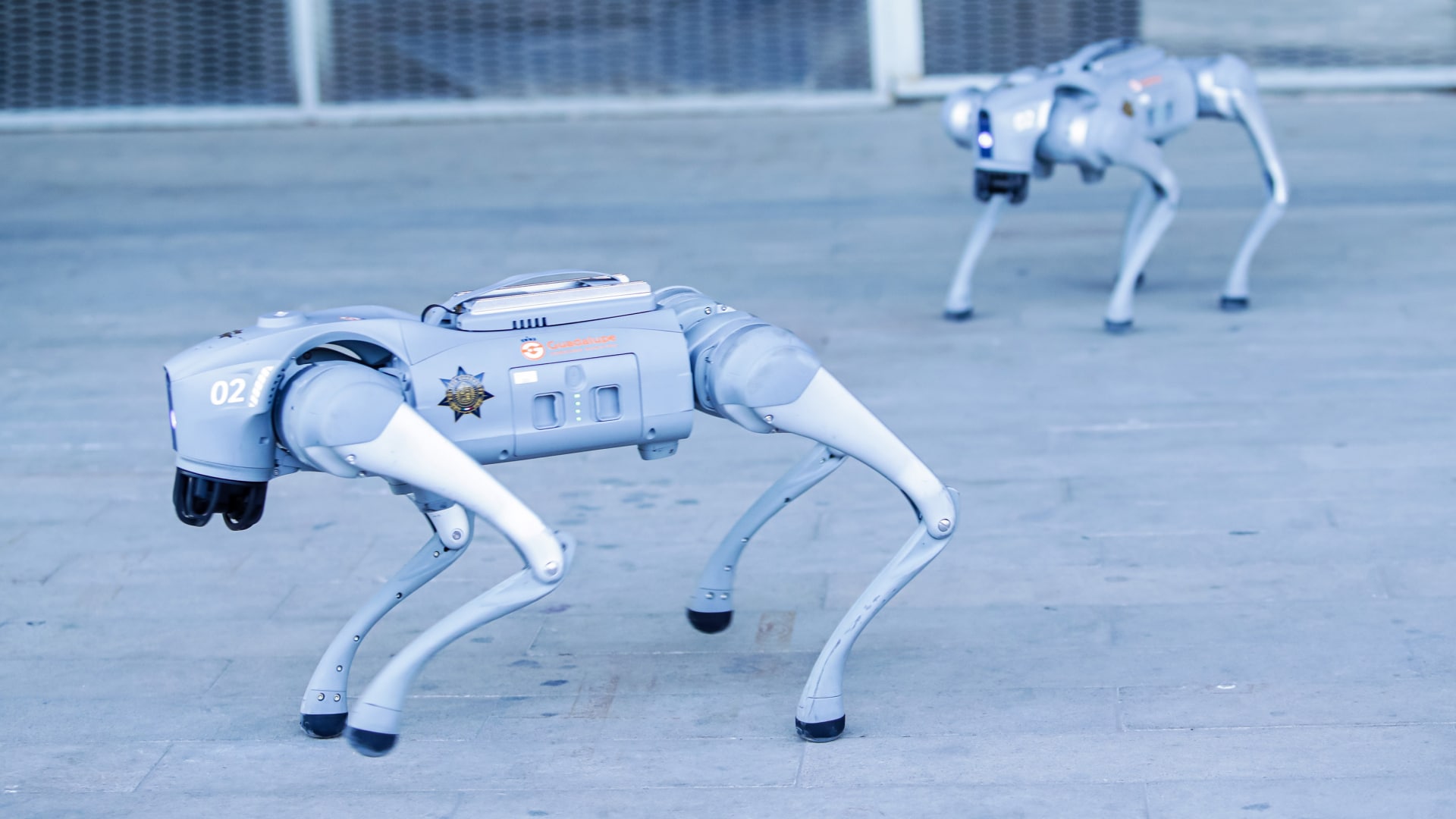 Why U.S. data centers are buying $300,000 robot dogs