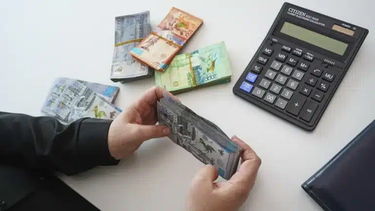 В Казахстане могут изменить систему пенсионных накоплений для самозанятых