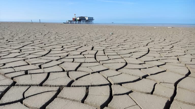 Казахстан попросит помощи у соседей, чтобы спасти Каспий