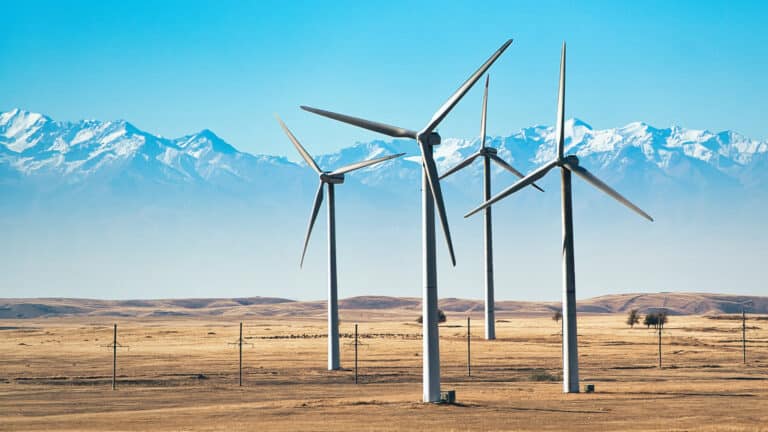 Экс-глава Нацбанка попросил госденьги на мощную ветровую электростанцию