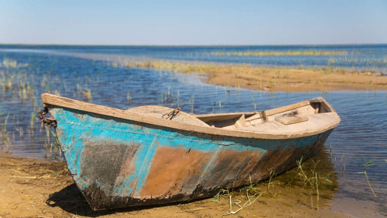 Всемирный банк поможет Казахстану сохранить Аральское море