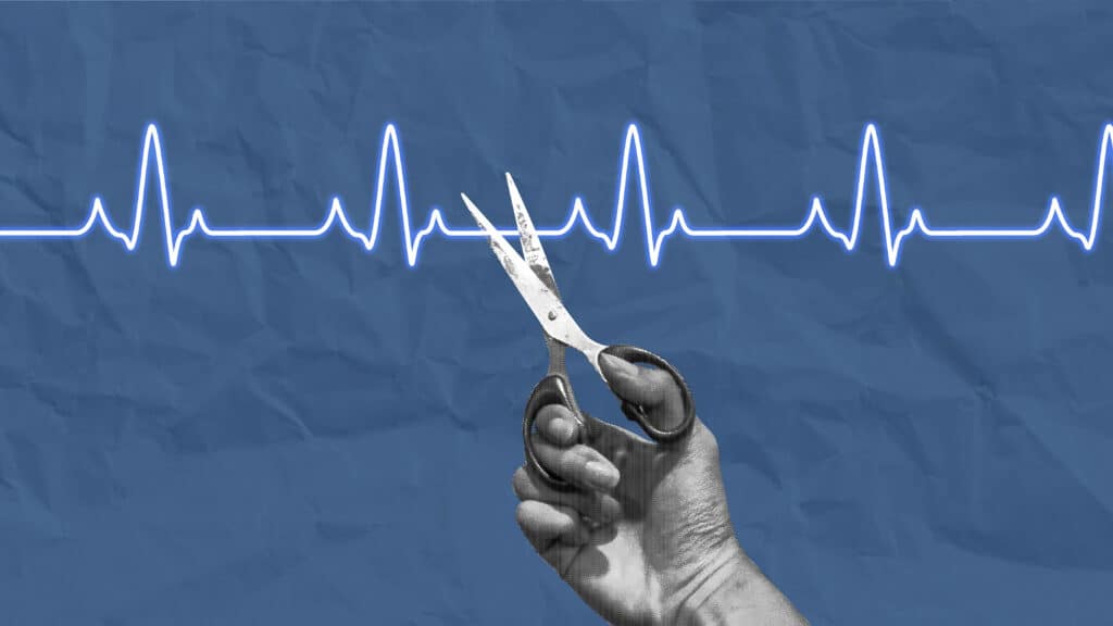 Фото: shutterstock, бильд-редактор: Дастан Шанай