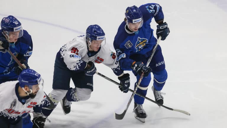 На матче «Барыса» мужчина отобрал шайбу у ребенка