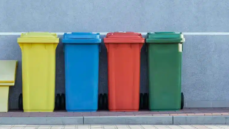 Алматыда қоқыстан терісі сыпырылған сегіз иттің мәйіті табылды