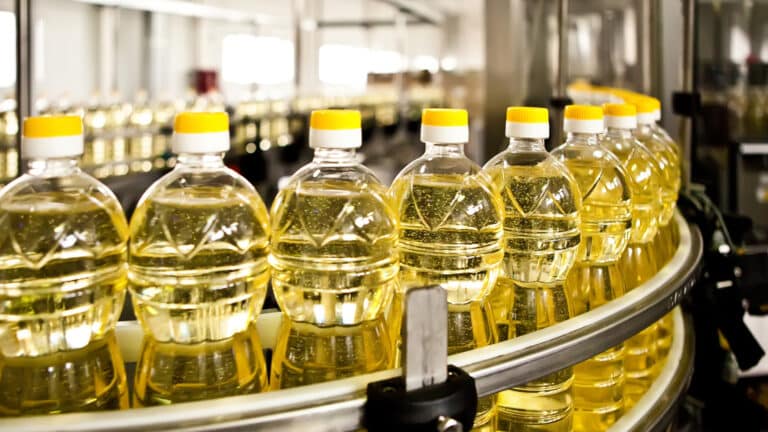Люксембургская компания строит в Кокшетау завод растительного масла за 76 млрд тенге