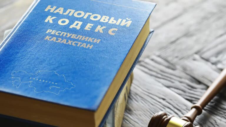 Налоговый кодекс изменят в Казахстане, в том числе и «упрощенку» – НПП «Атамекен»