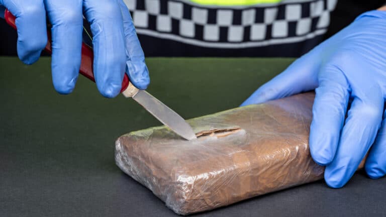 Более 5 кг гашиша изъяли у пенсионерки-наркодилера на юге Казахстана