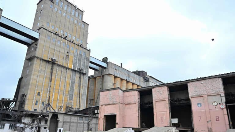 Компания миллионера поставит муки на 25 млрд тенге крупнейшему хлебокомбинату РК