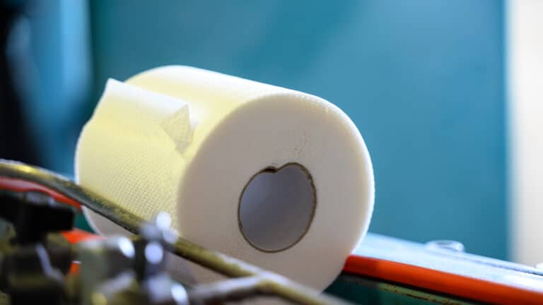 Казахстан завозит больше половины туалетной бумаги из-за рубежа