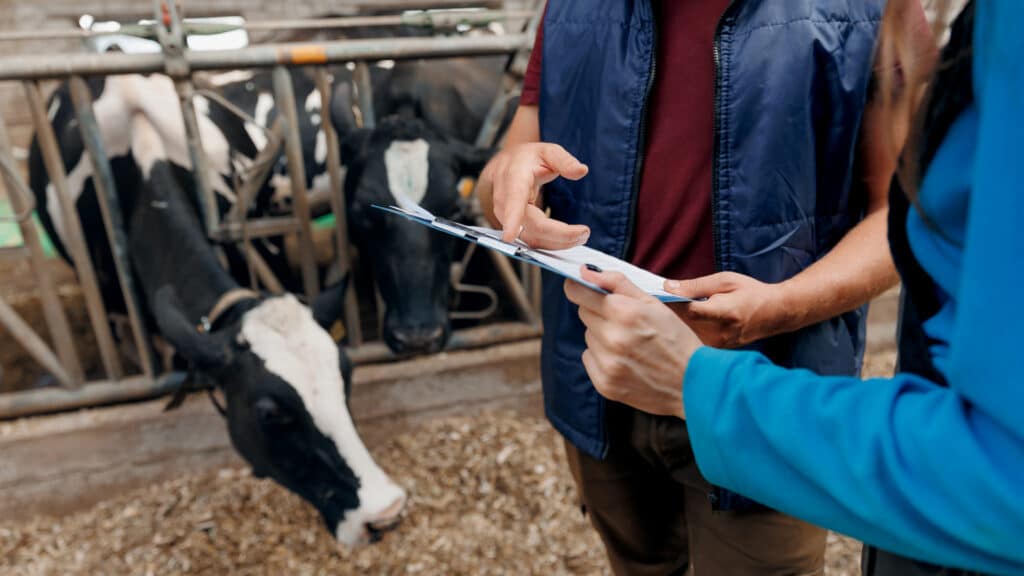 Тысячи ветврачей в Жамбылской области работали без выплат за вредность