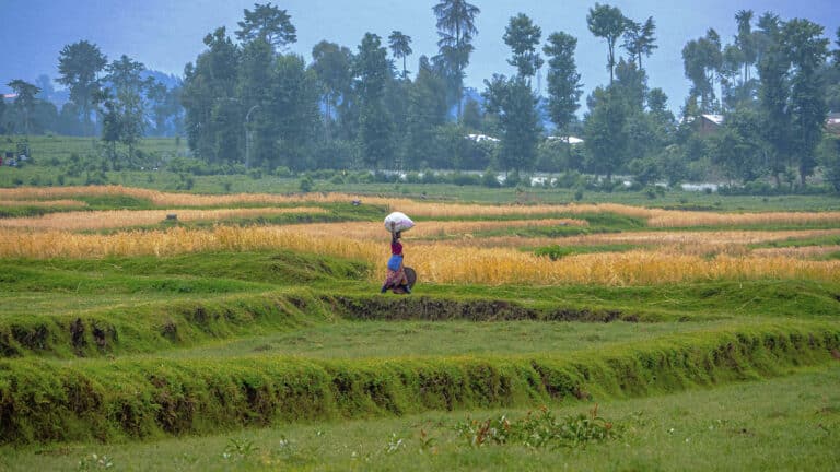 Казахстан будет добывать редкоземельные металлы в Руанде