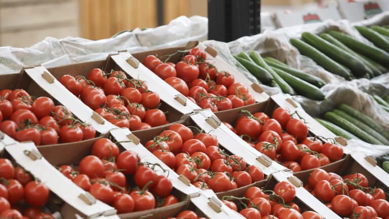 ИИ в Казахстане выявил сотни нарушений при продаже социальных продуктов