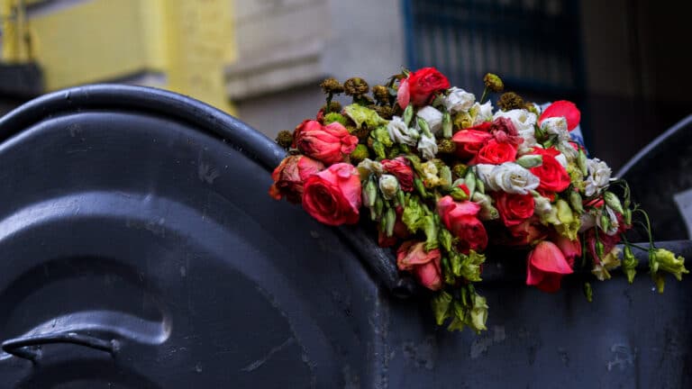 «Тюльпанщики» остались банкротами с горами непроданных цветов после 8 Марта