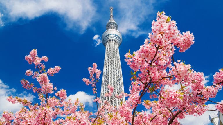 Tokyo Skytree elevator to resume operation after February malfunction