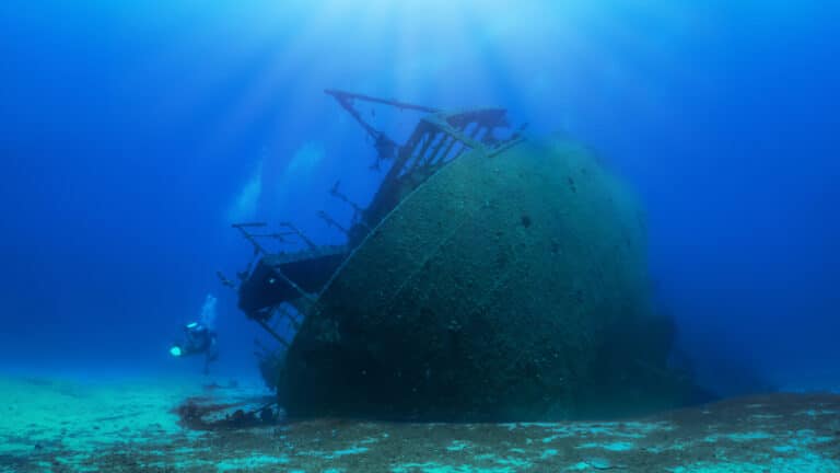 US authorities release Ohio treasure hunter Tommy Thompson