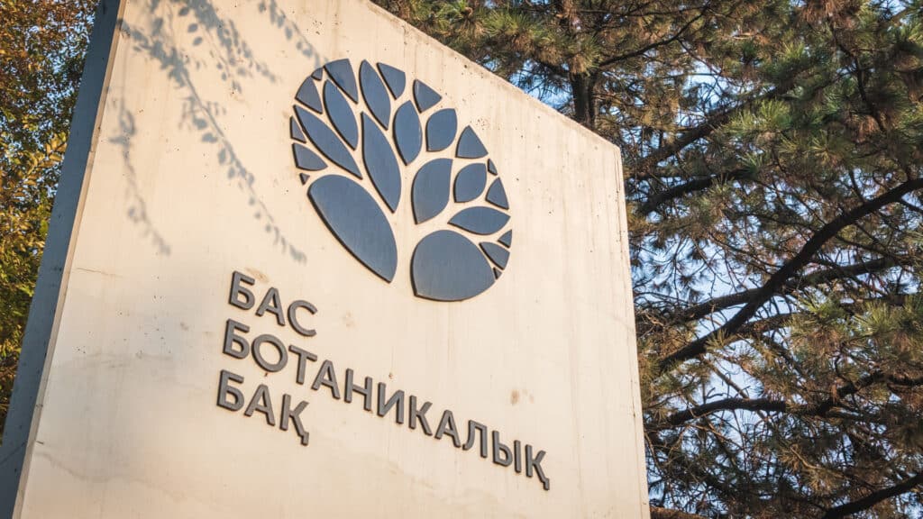 Фото: shutterstock, бильд-редактор: Адэлина Мамедова