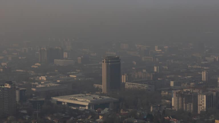 Врач посоветовал алматинцам с аллергией ходить в респираторе во время смога