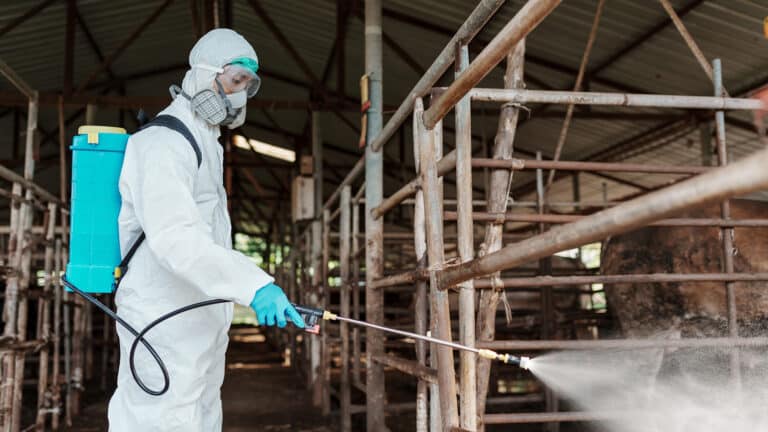 Перешла ли таинственная болезнь скота из России в Казахстан, раскрыл Бозумбаев