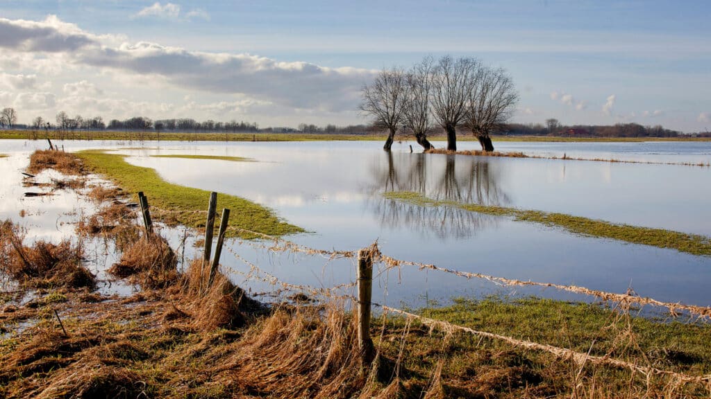В МЧС рассказали, когда ожидаются пики паводков в регионах Казахстана