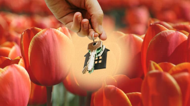 Отбасы банк начал принимать заявки на льготную ипотеку «Наурыз»