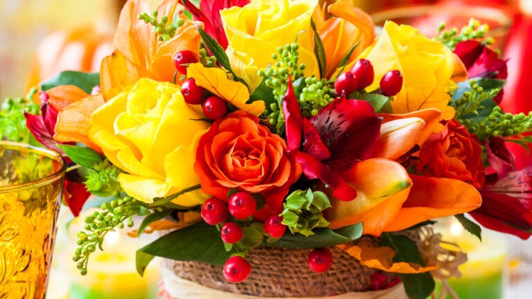 8 наурызға қандай гүл сыйлауға болмайды