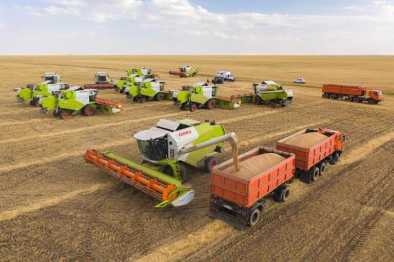 Рекордтық нәтиже: Қазақстанның астық пен ұн экспорты 15,3 млн тоннаға жетті