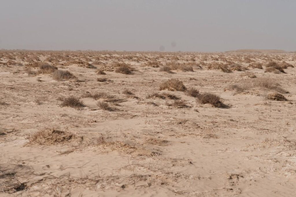 Экологи объяснили появление пыльных бурь в Атырау