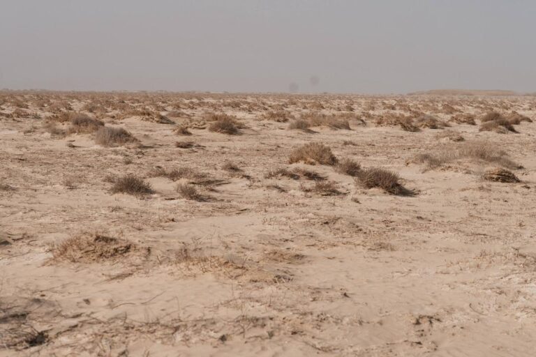 Экологи объяснили появление пыльных бурь в Атырау