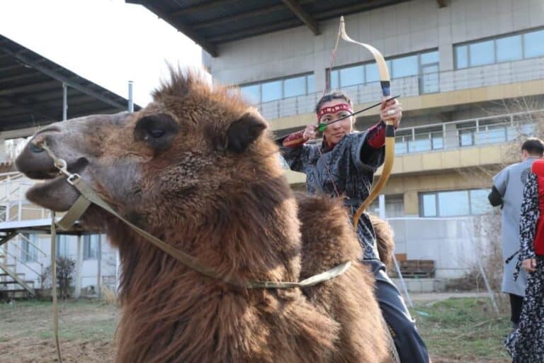 Рекорд с верблюда: алматинка поразила 4 мишени за 10 секунд на ипподроме