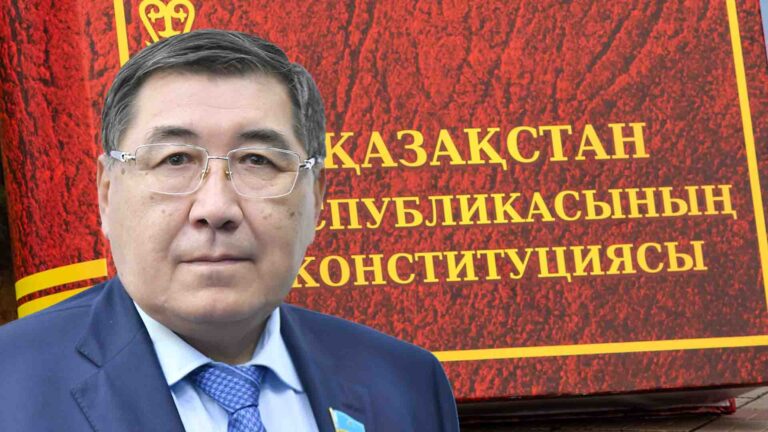 Бапи: Конституция жобасын сынаушы — ескі жүйені қолдаушы популист