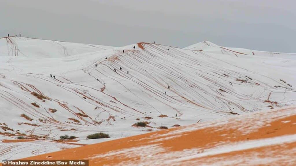 Сахара шөлінде қар жауды