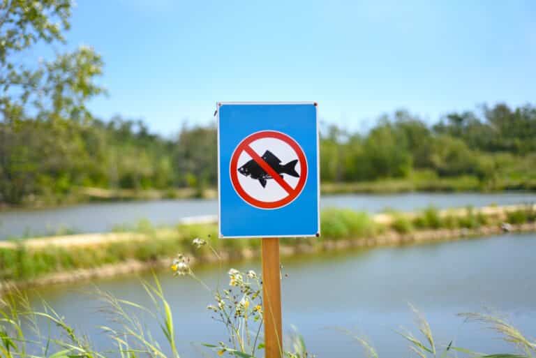 Рыбаки из Атырау взбунтовались против запрета властей на ночной лов