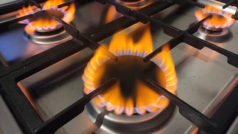 Министрлік Шымкенттегі бір үйде қаза болған 4 тұрғын туралы түсініктеме берді